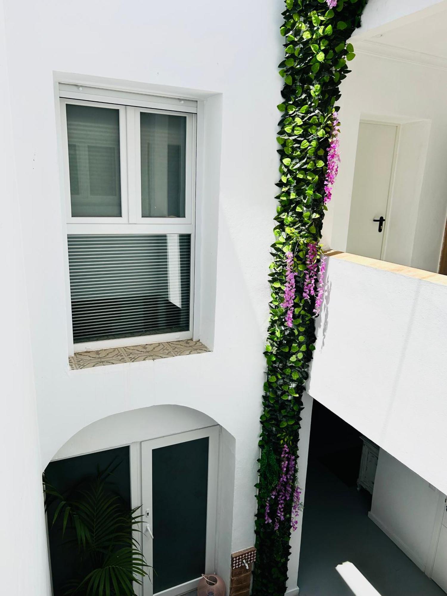 Sotavento La Solera Apartment Sanlúcar de Barrameda Exterior photo